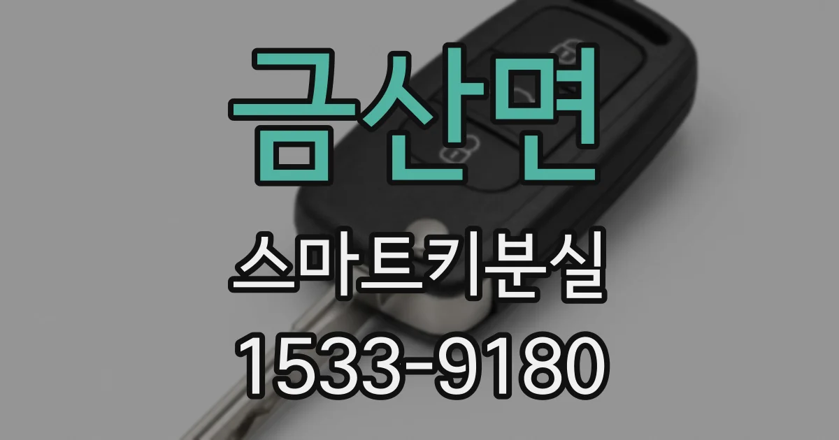 금산면 스마트키분실