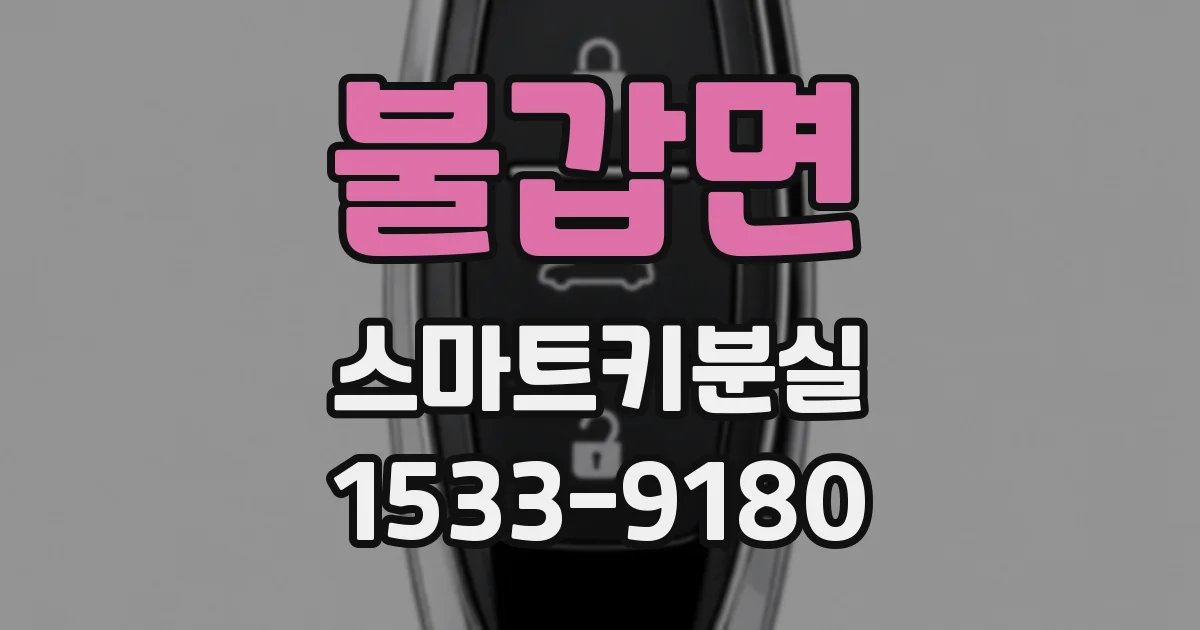 불갑면 스마트키분실