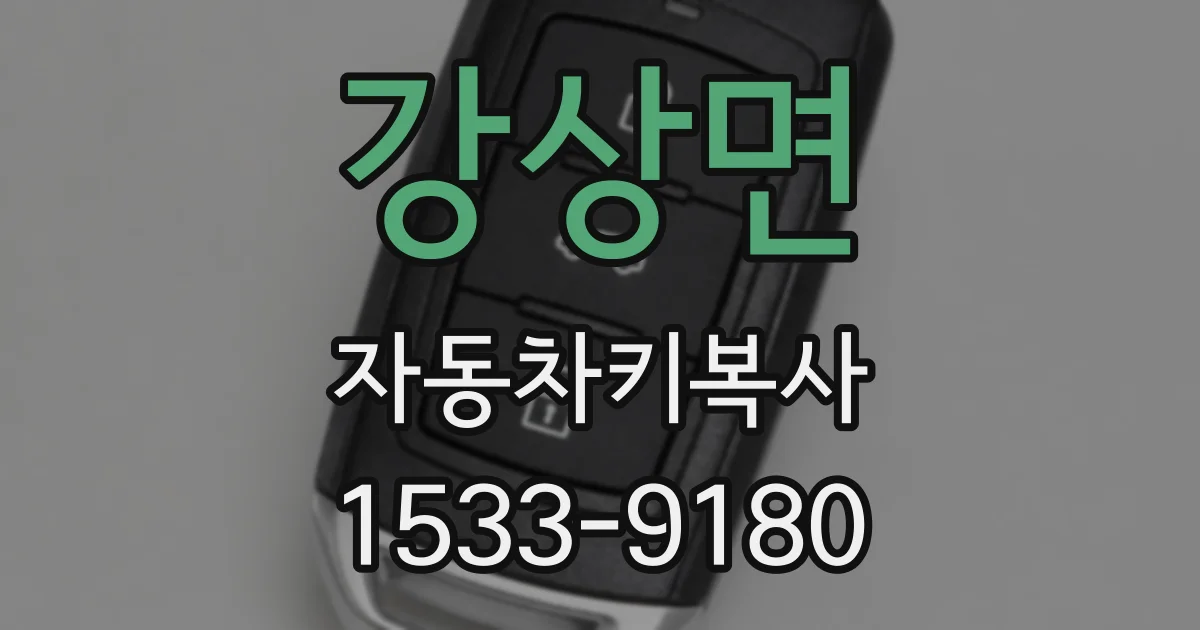 강상면 자동차키복사