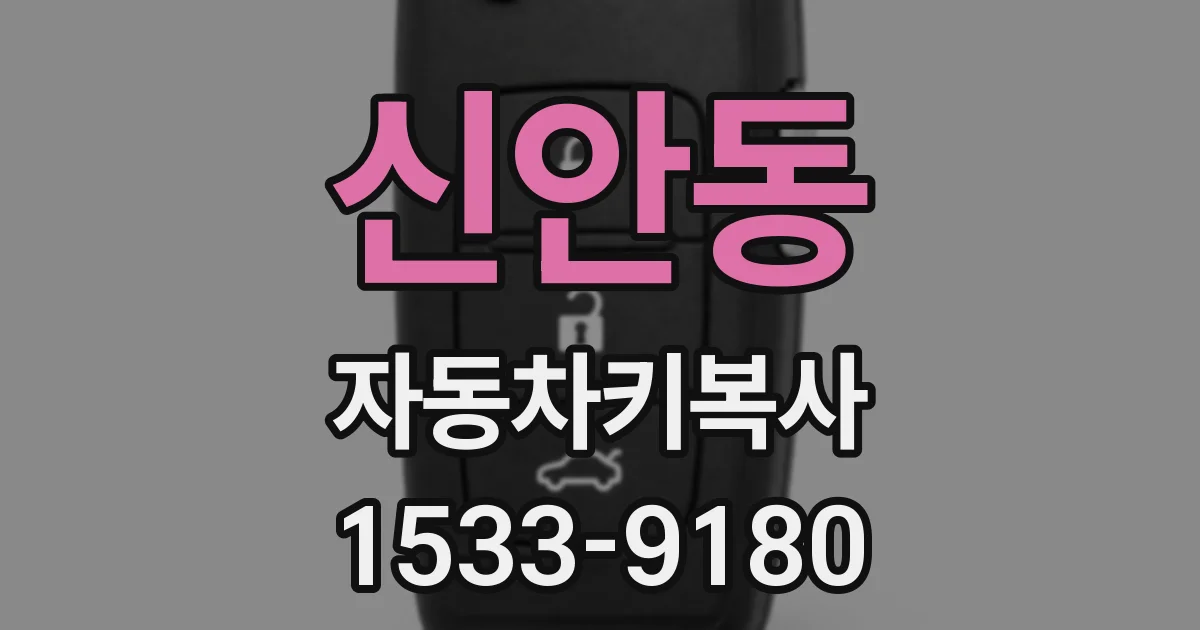 신안동 자동차키복사