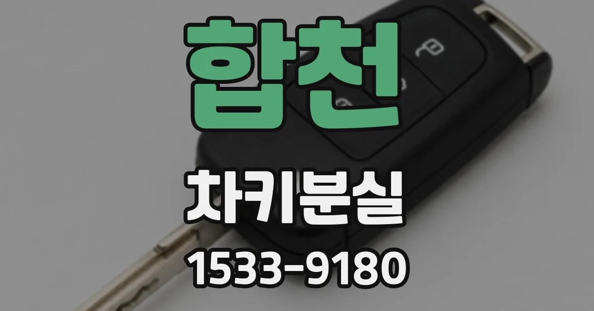 합천 차키분실