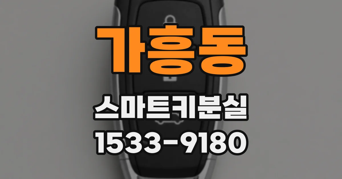 가흥동 스마트키분실