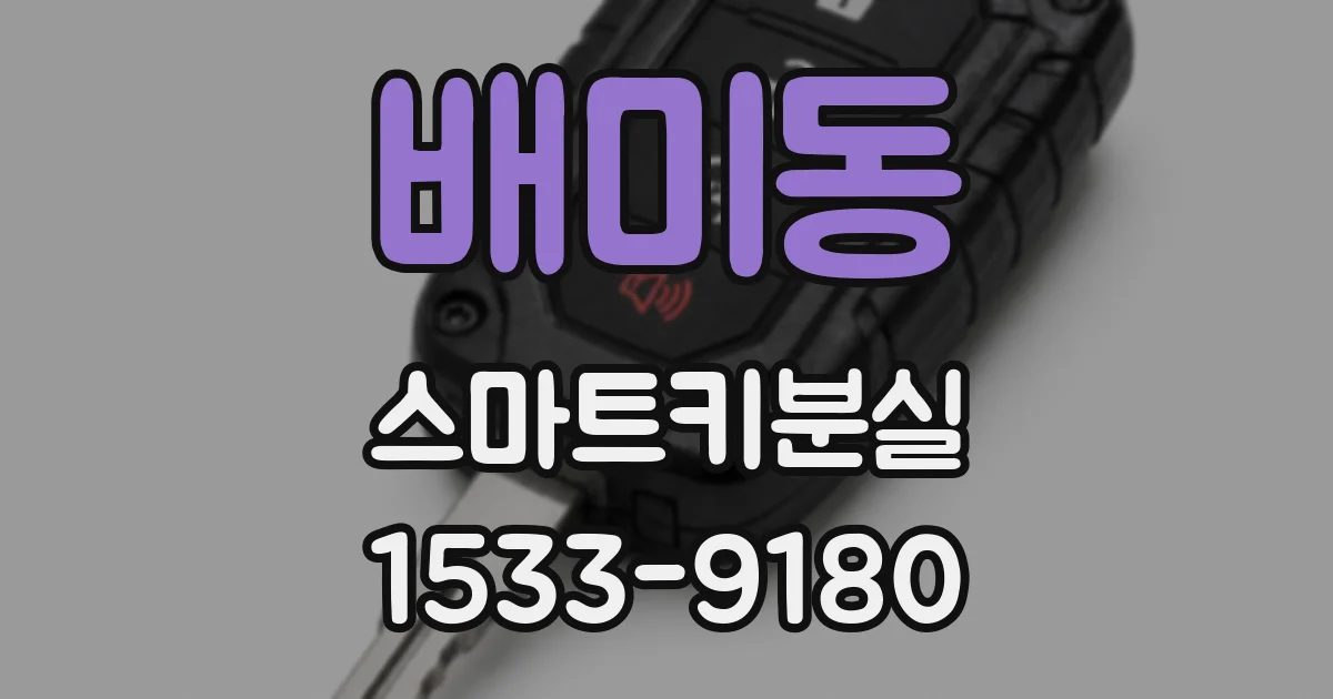 배미동 스마트키분실