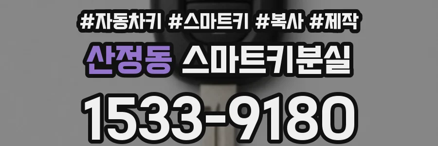 산정동 스마트키분실