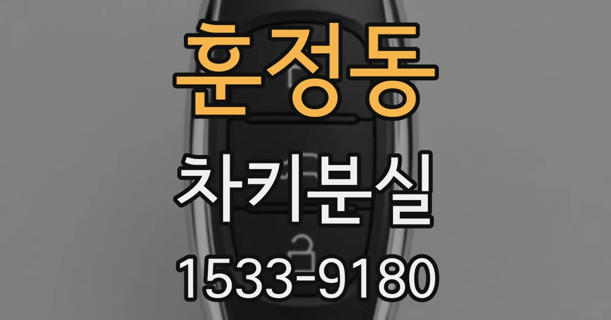 훈정동 차키분실