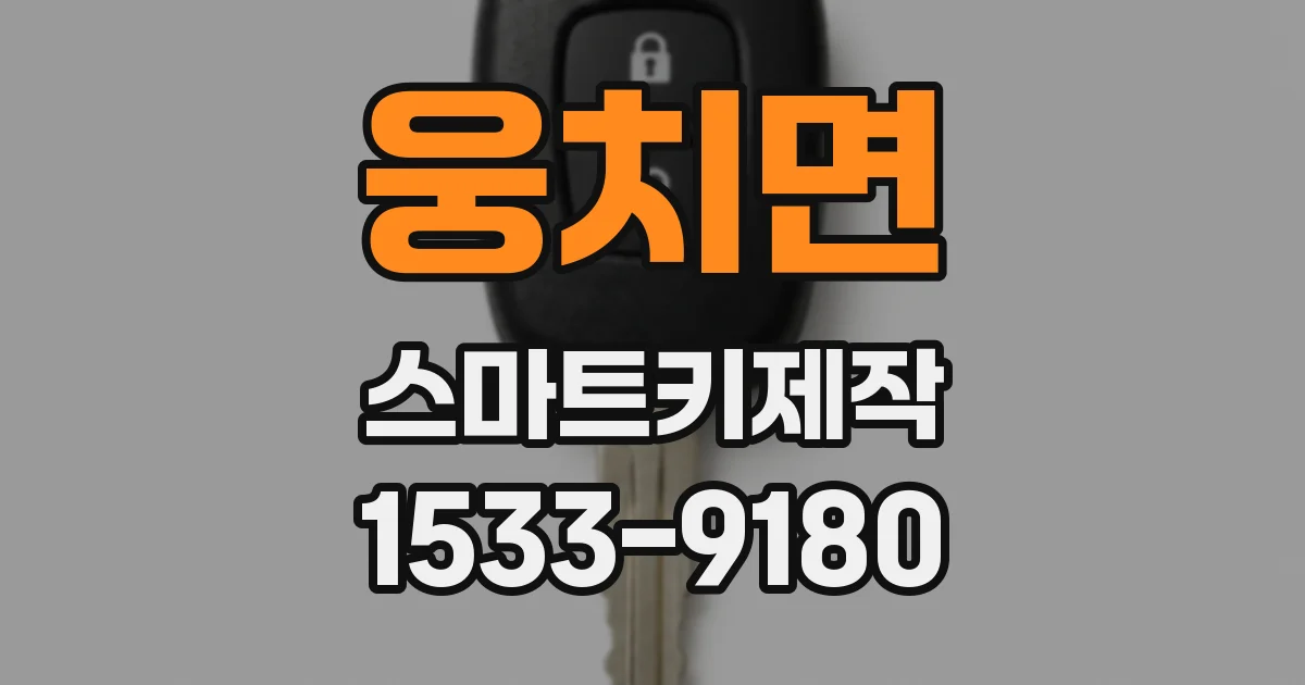 웅치면 스마트키제작