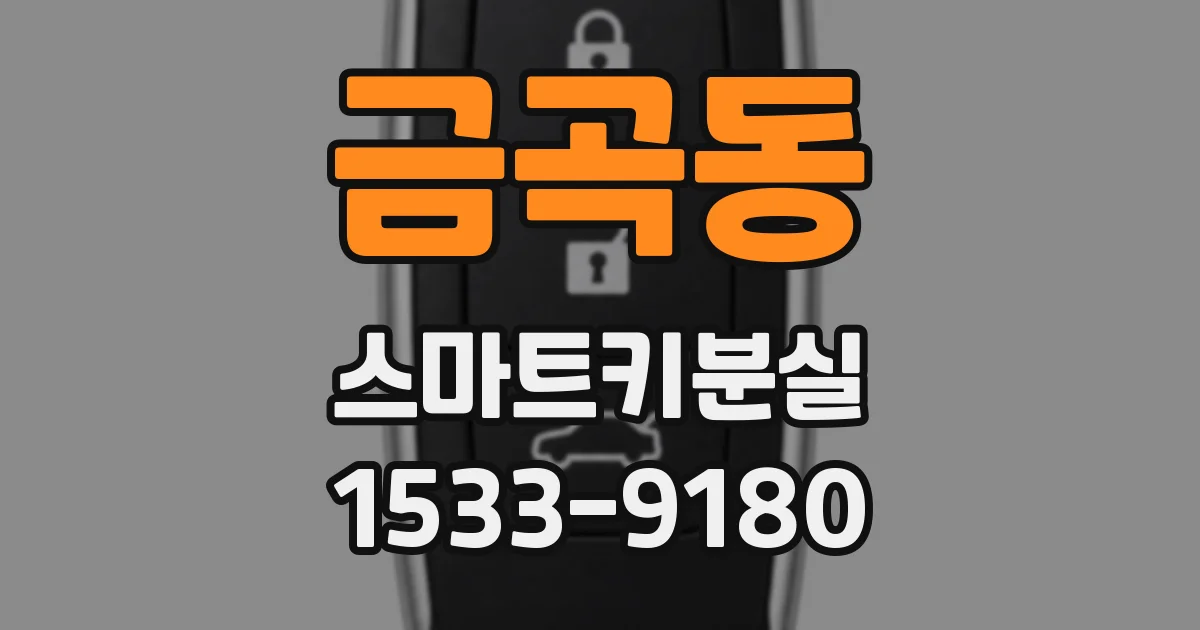 금곡동 스마트키분실
