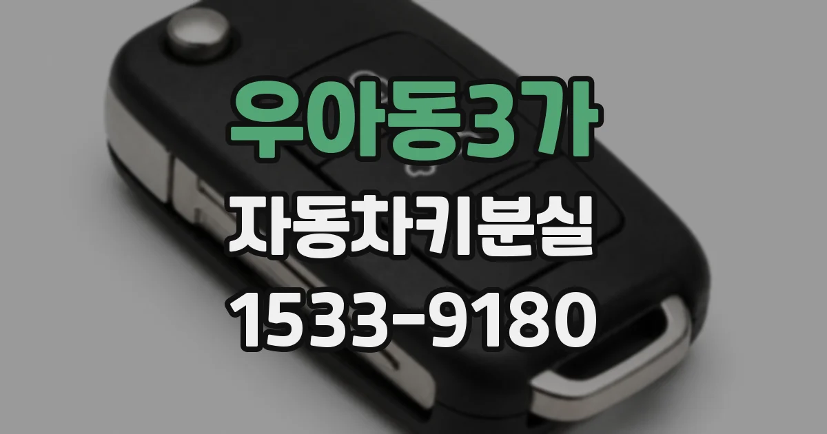 우아동3가 자동차키분실