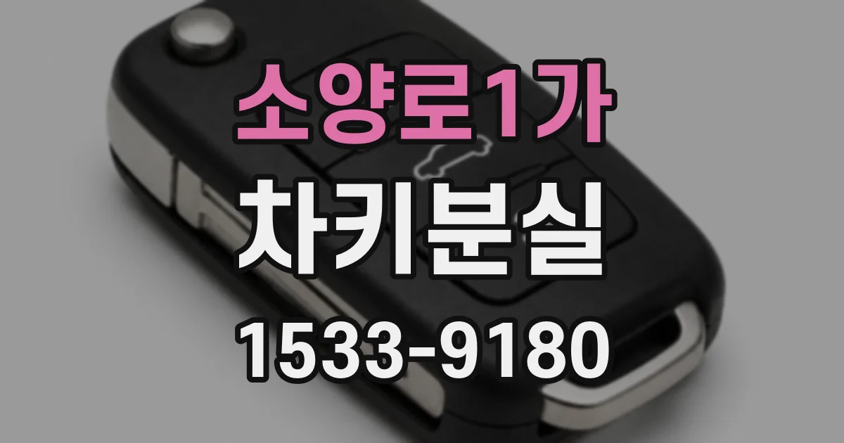 소양로1가 차키분실