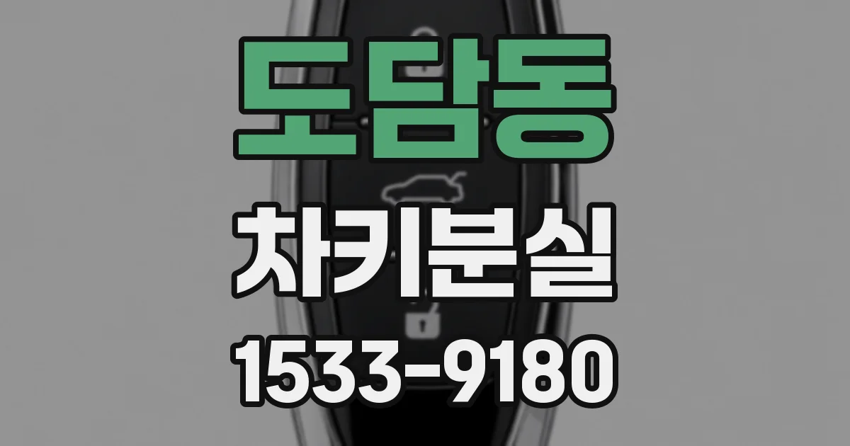 도담동 차키분실