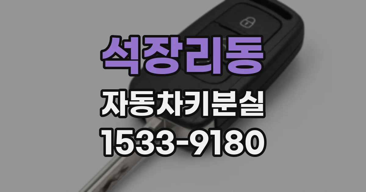 석장리동 자동차키분실