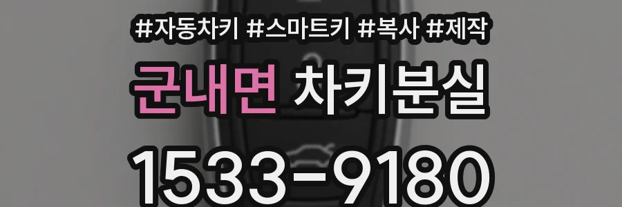 군내면 차키분실