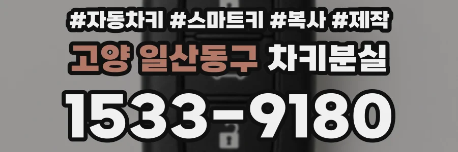 고양 일산동구 차키분실