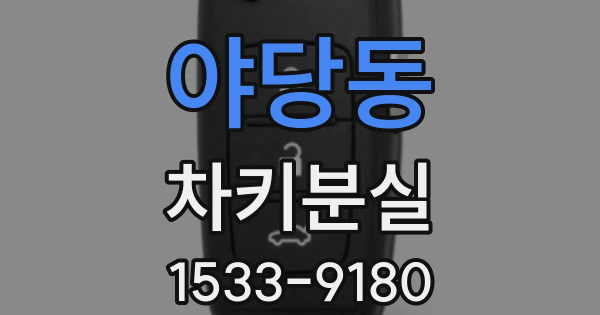 야당동 차키분실