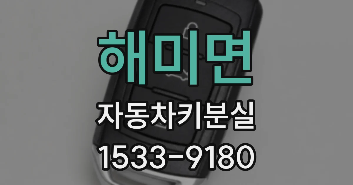 해미면 자동차키분실