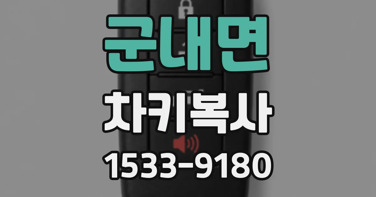 군내면 차키복사