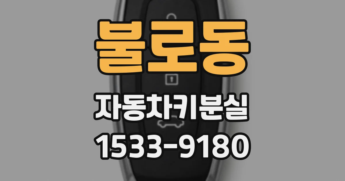 불로동 자동차키분실