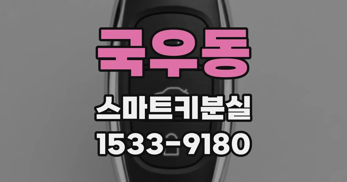 국우동 스마트키분실