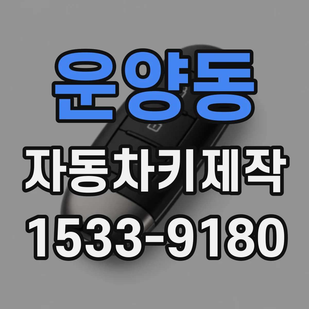 운양동 자동차키제작