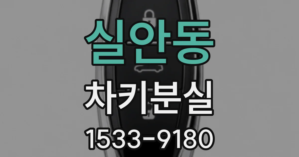 실안동 차키분실