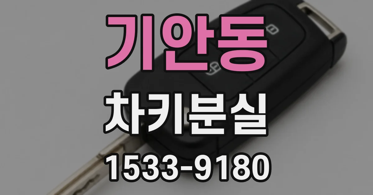기안동 차키분실