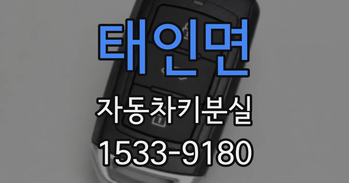 태인면 자동차키분실