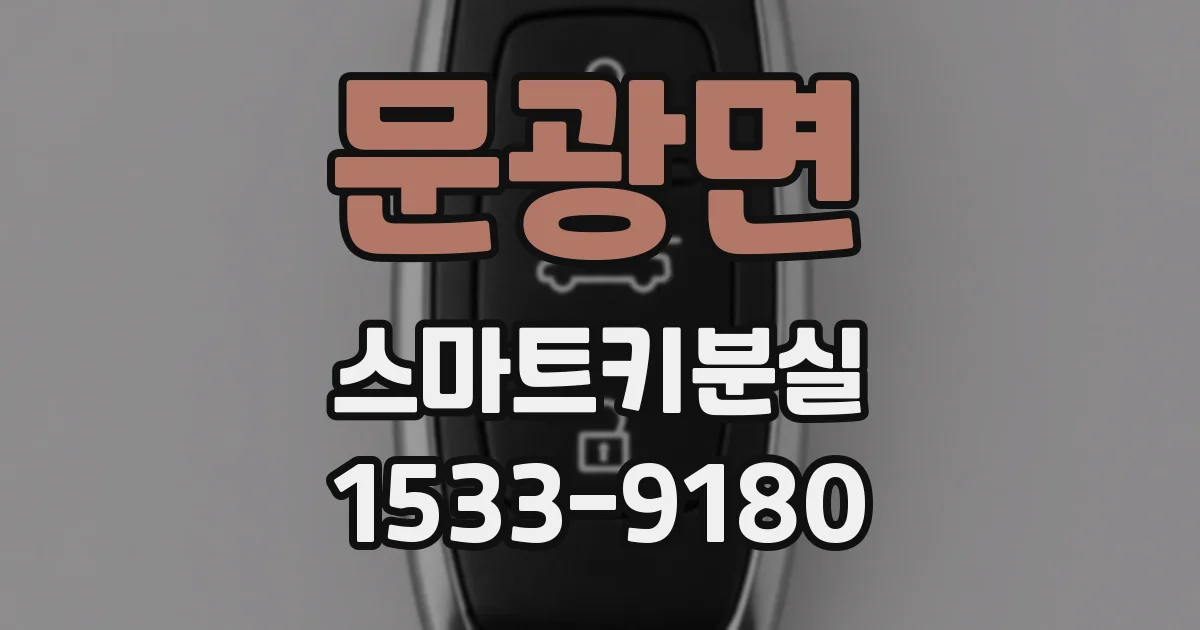 문광면 스마트키분실