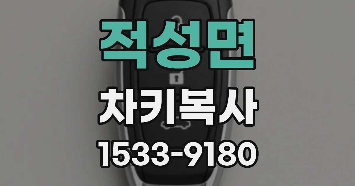 적성면 차키복사