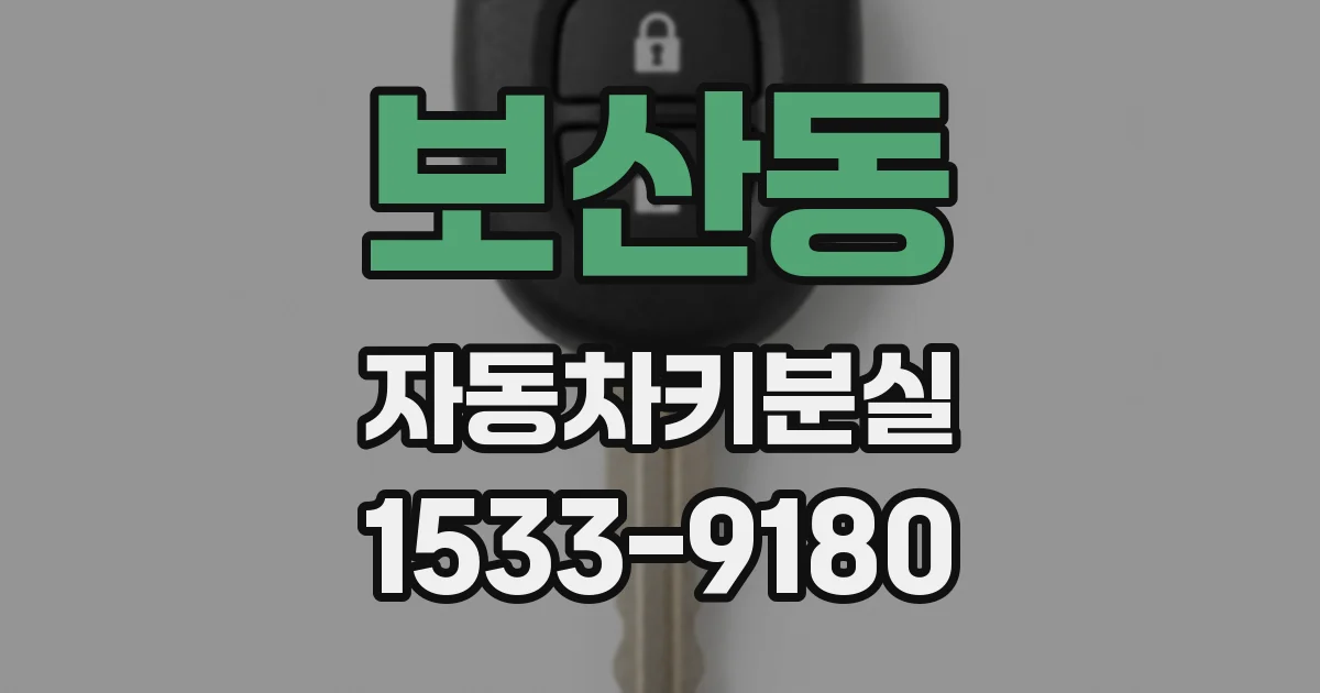 보산동 자동차키분실