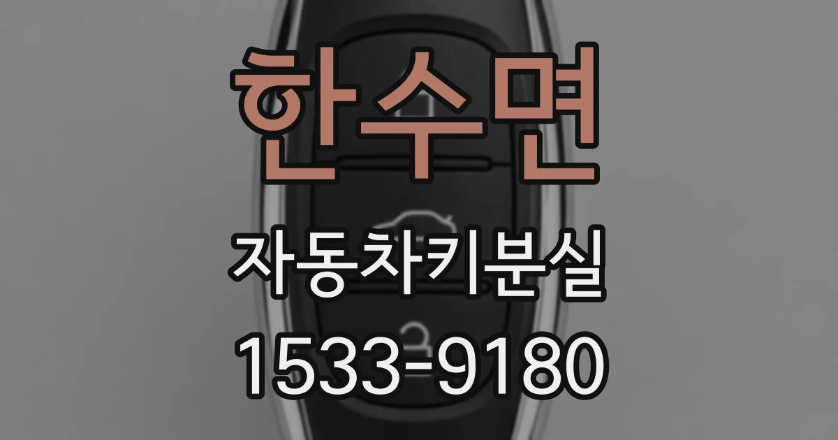 한수면 자동차키분실