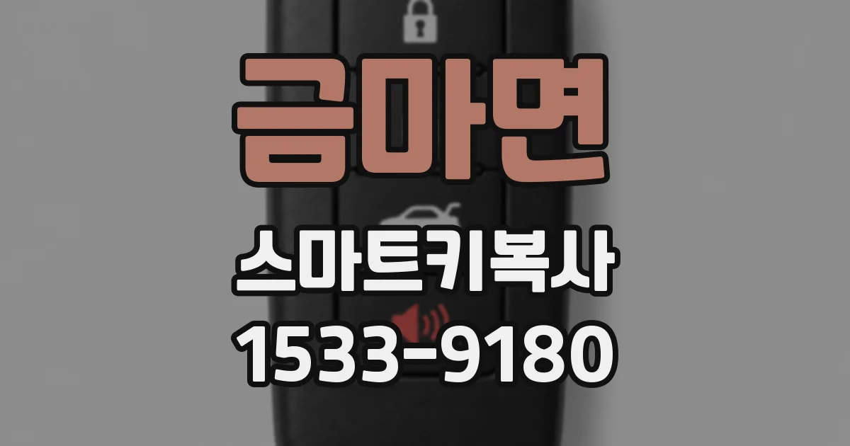금마면 스마트키복사