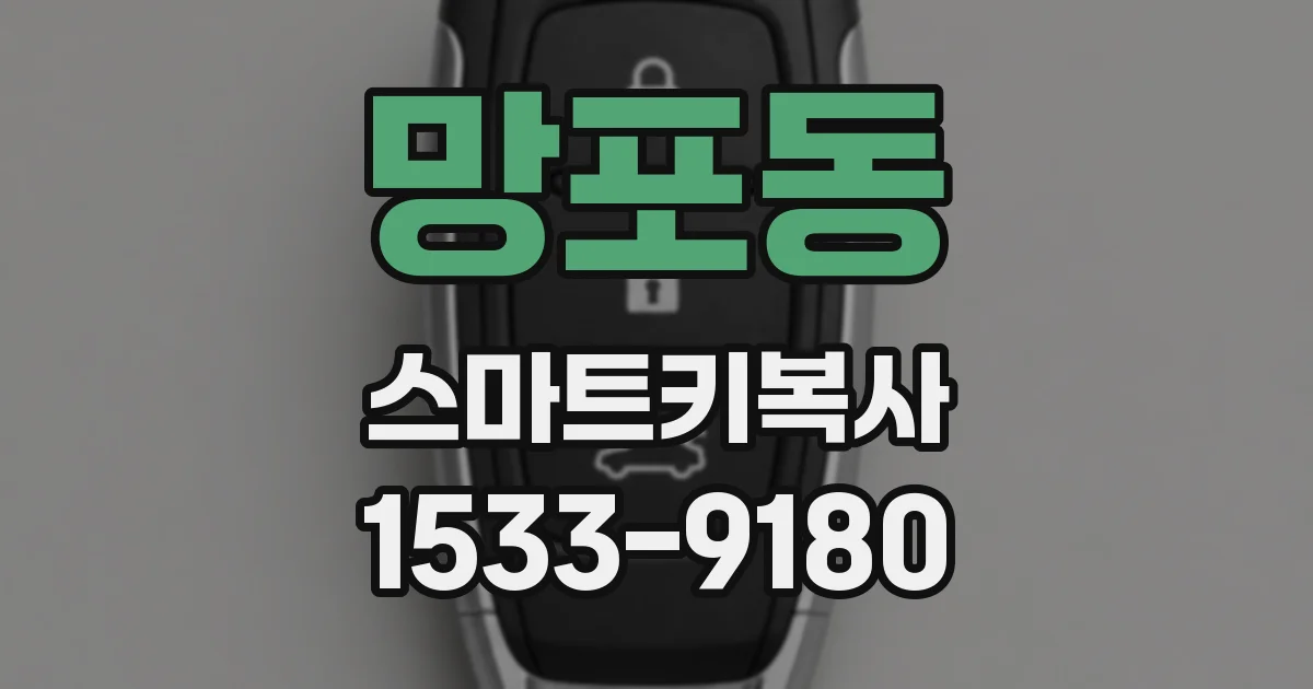 망포동 스마트키복사