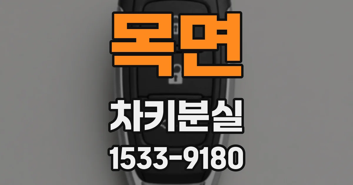 목면 차키분실