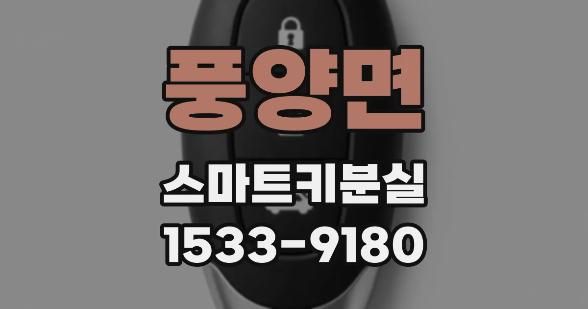 풍양면 스마트키분실