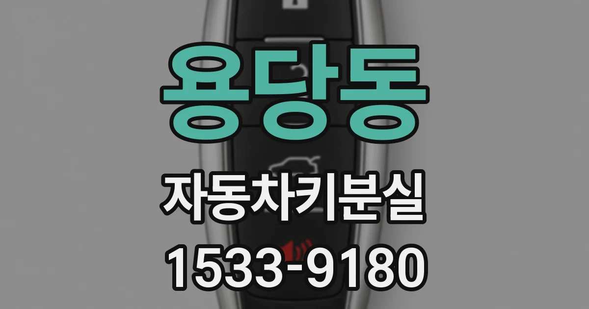용당동 자동차키분실