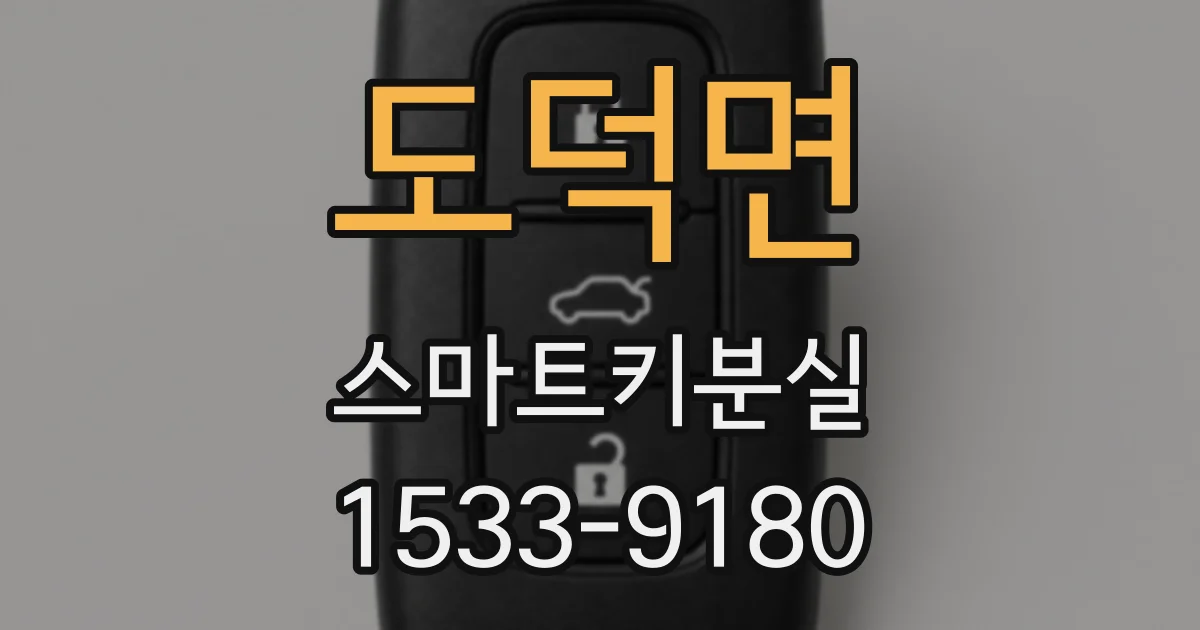 도덕면 스마트키분실