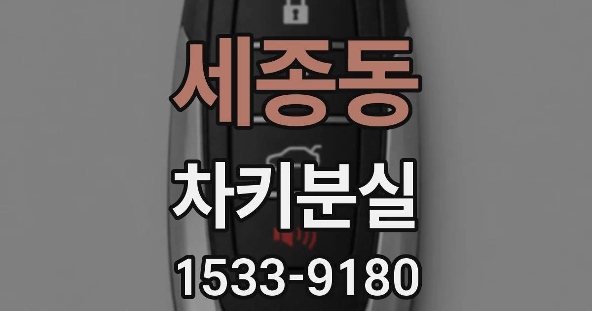 세종동 차키분실