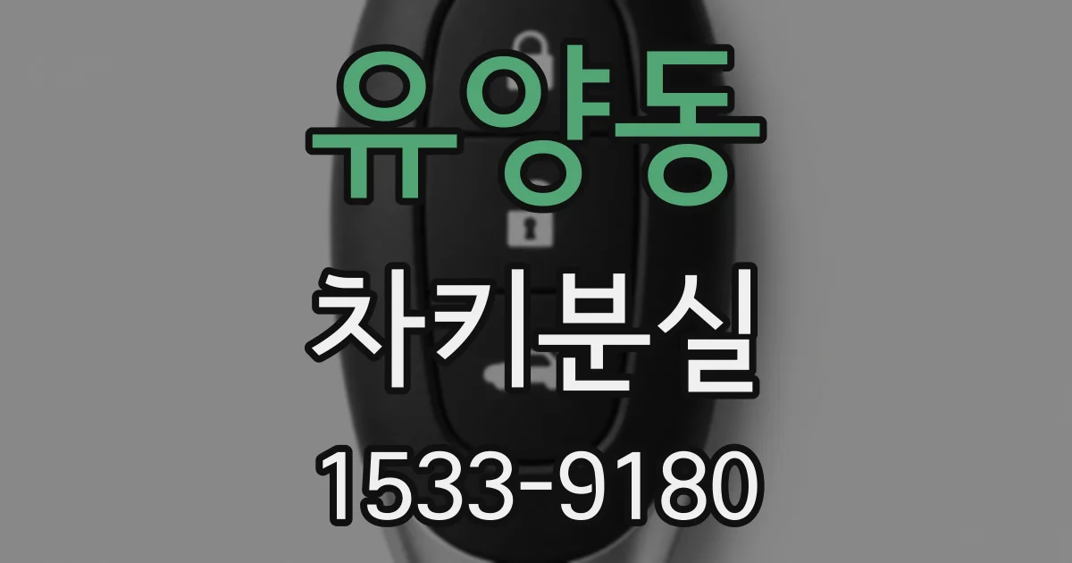 유양동 차키분실
