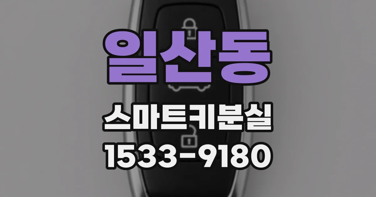 일산동 스마트키분실