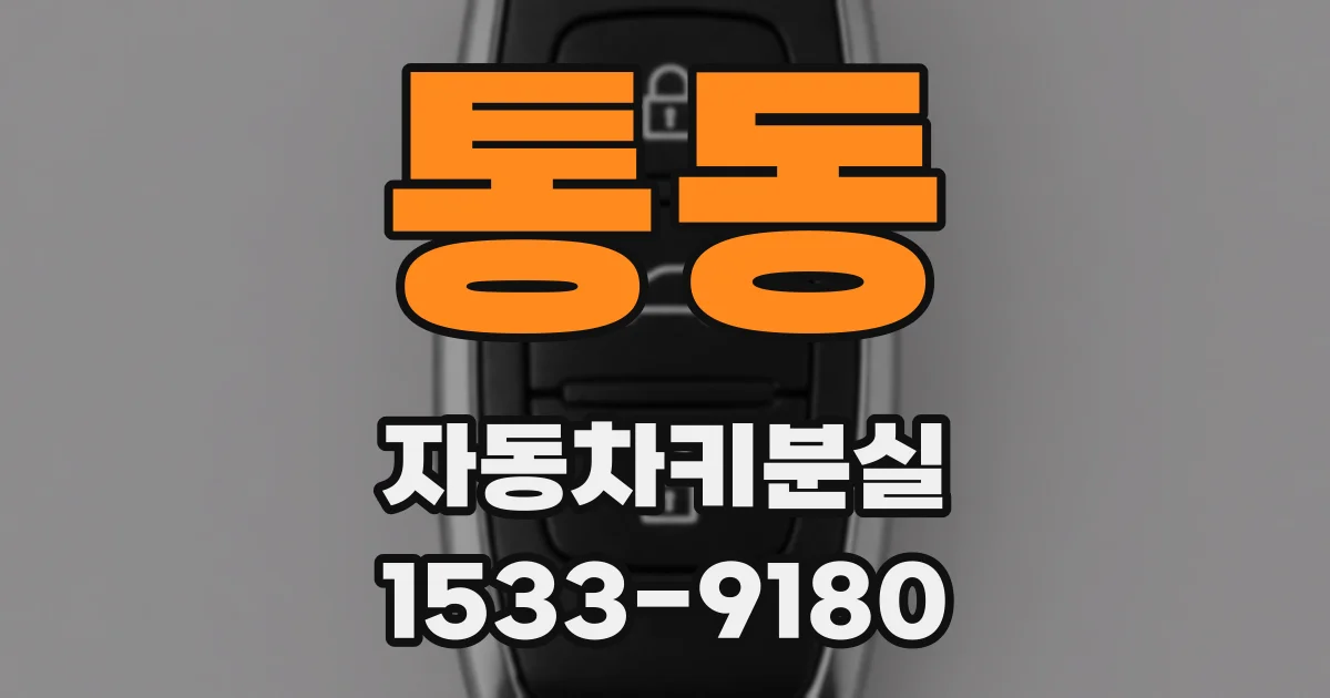 통동 자동차키분실