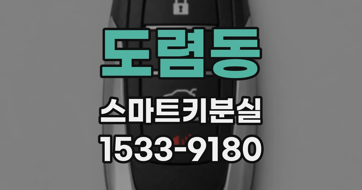도렴동 스마트키분실