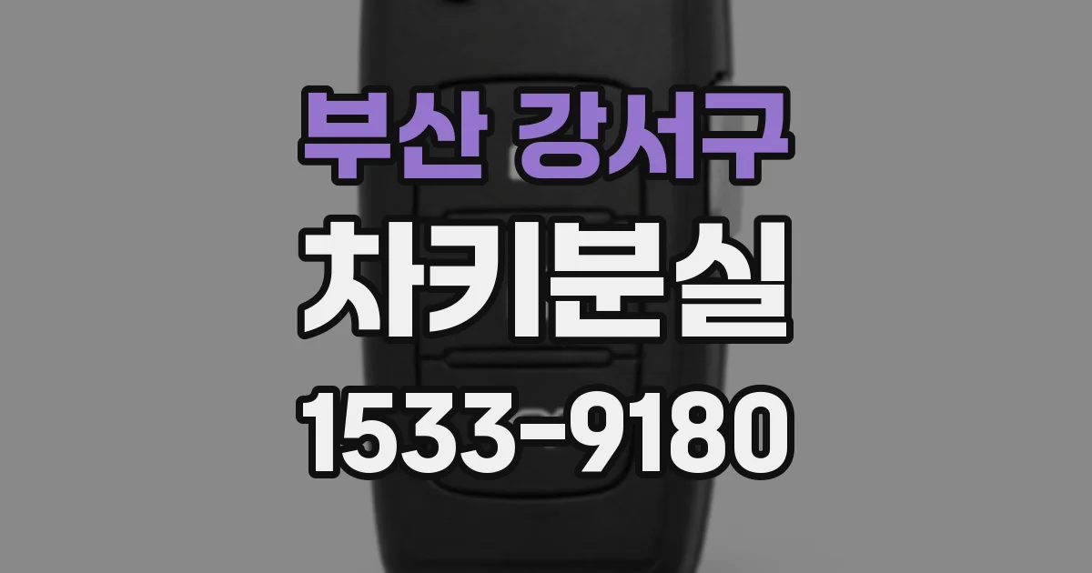 부산 강서구 차키분실