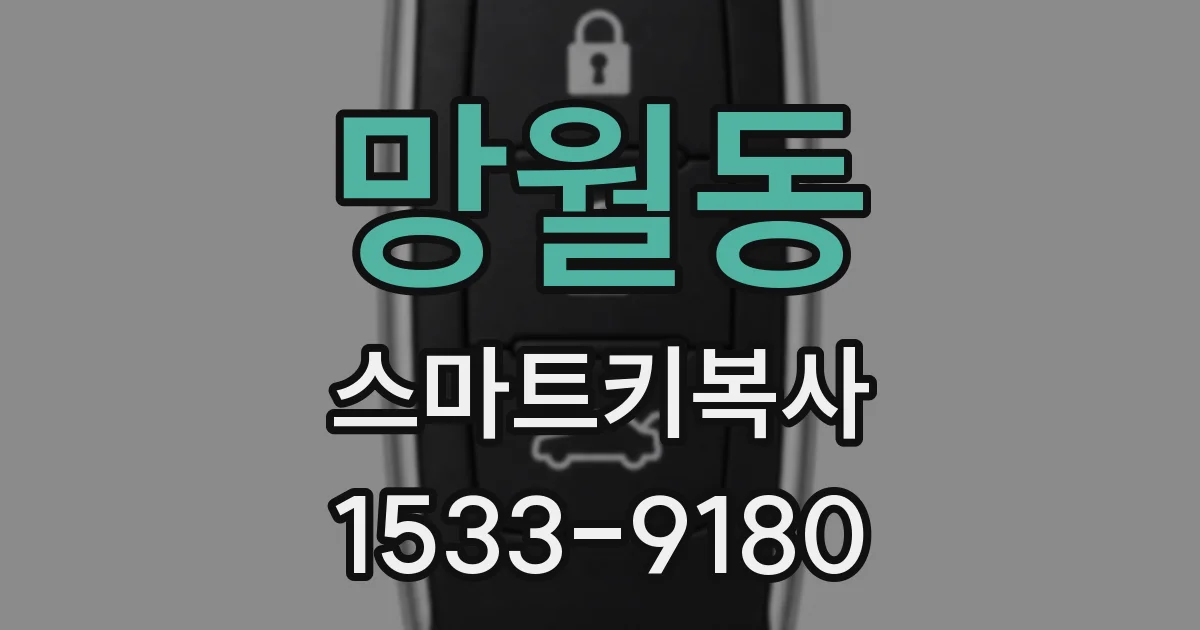 망월동 스마트키복사