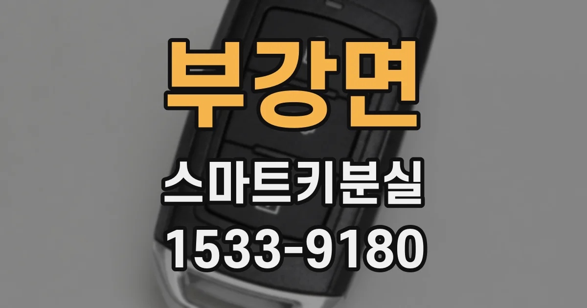 부강면 스마트키분실