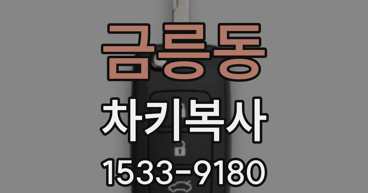 금릉동 차키복사