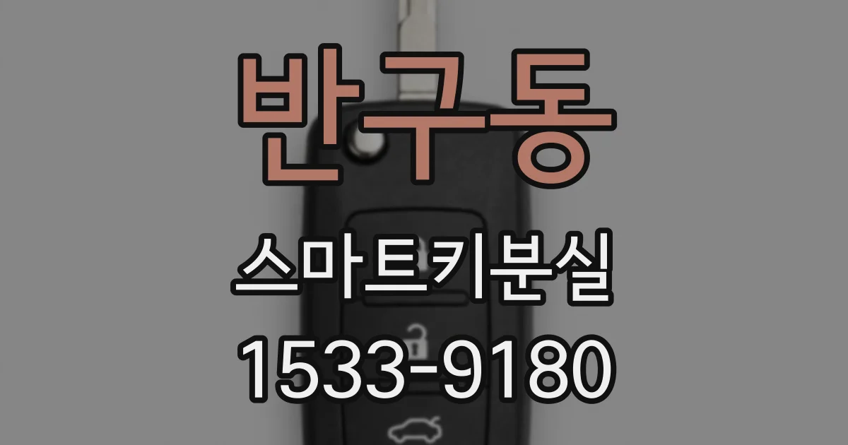 반구동 스마트키분실