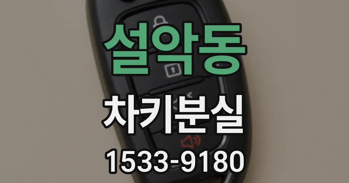 설악동 차키분실