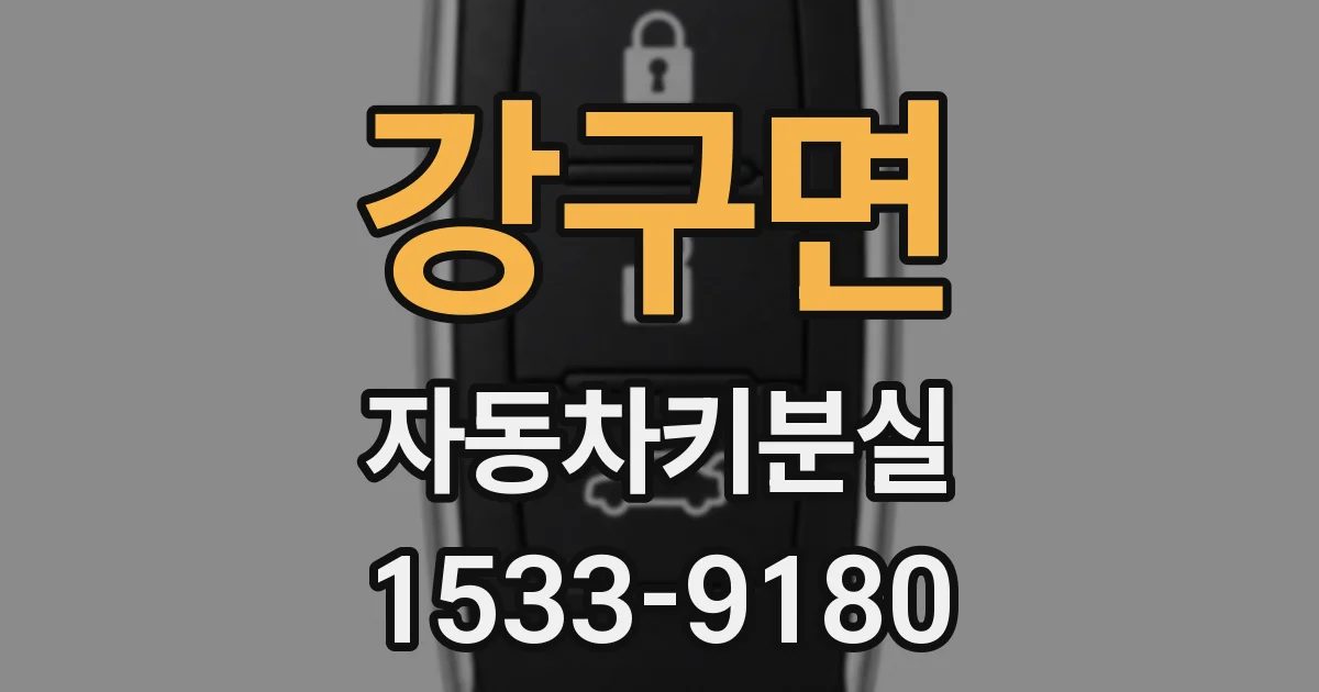 강구면 자동차키분실