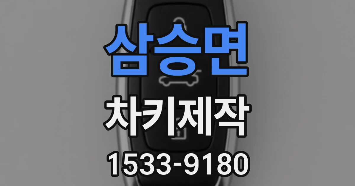 삼승면 차키제작