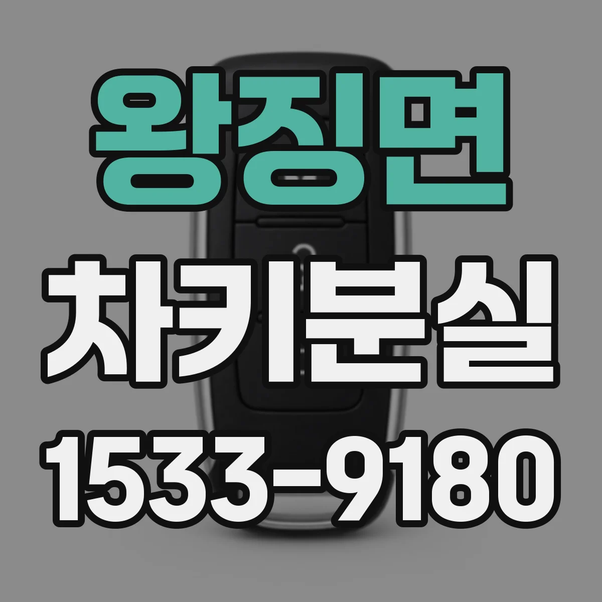 왕징면 차키분실